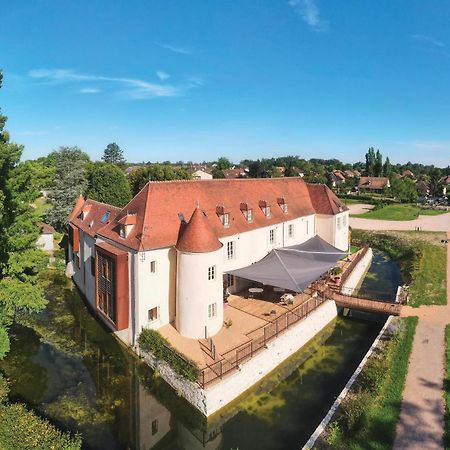Chateau Du Bost - Teritoria Бельрив-сюр-Алье Экстерьер фото